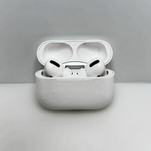 Apple AirPods Pro 1st Gen OEM Wireless Earbuds A2083 A2084 MagSafe Case A2190